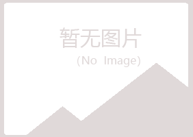 鹤岗东山听蓉水泥有限公司